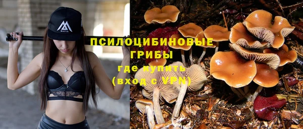 герыч Лиски