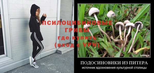герыч Лиски
