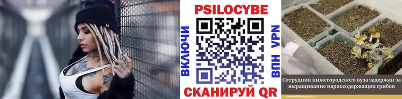Псилоцибиновые грибы Magic Shrooms  Купить закладки  Сясьстрой 
